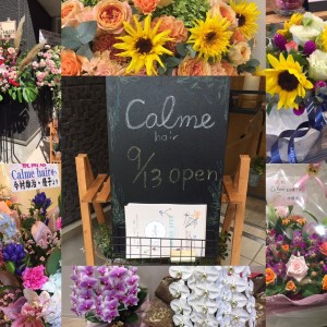 9月13日にオープンしましたＣａｌｍｅ（カルム）です！｜白楽駅 美容室Calme（カルム）